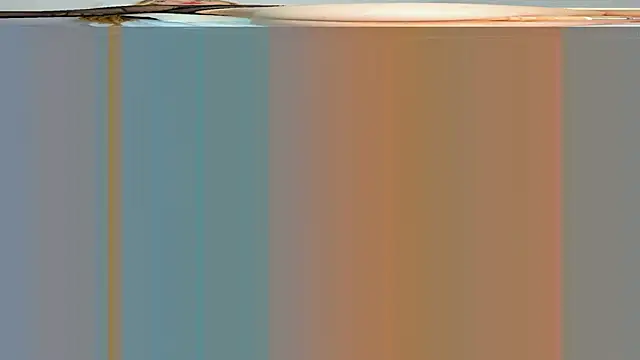 rouss witt online show from March 2025 08:22:01 PM