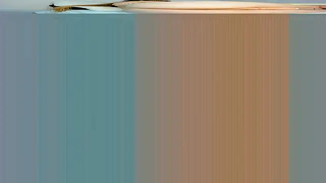 rouss witt online show from March 2025 11:27:01 PM