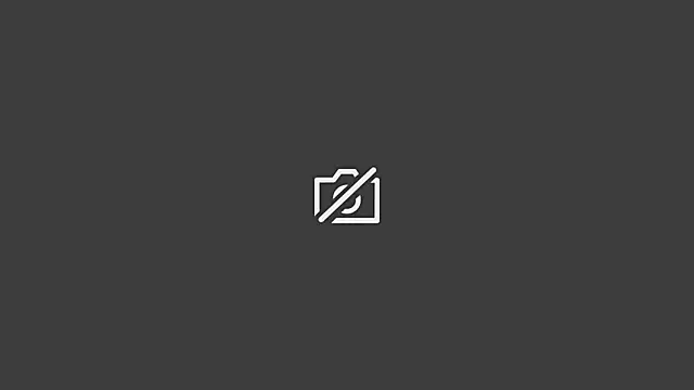 natasha steele online show from March 2025 05:19:01 AM