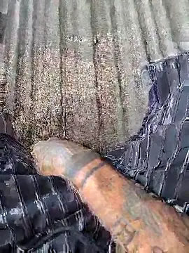 Snapshot of vertin07 chatting on November 2025 05:33:02 PM vertin07 online show from November 2025 05:33:02 PM