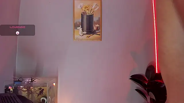 CRAZY-BOY99 online show from October 2025 10:05:02 AM