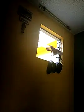 Ariana Rodriguez online show from October 2025 12:02:02 PM