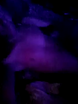 Tremendocosotee online show from November 2025 08:36:02 AM