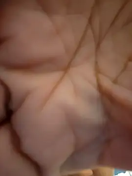 ikeike-kun online show from November 2025 11:31:02 AM