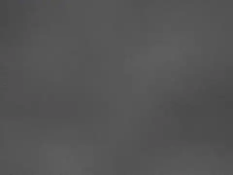 Sophie Maeve online show from November 2025 04:55:01 AM