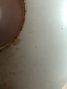 Dabunation online show from October 2025 06:11:01 AM