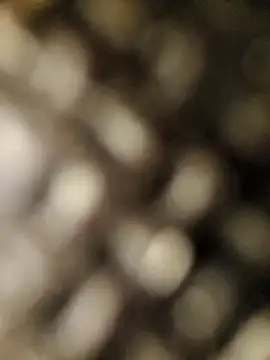 Snapshot of geilerschwanz556r7 chatting on September 2025 08:52:02 AM geilerschwanz556r7 online show from September 2025 08:52:02 AM