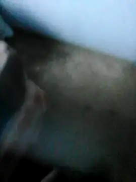 Snapshot of mydickbedarkandthick chatting on November 2025 03:11:01 PM mydickbedarkandthick online show from November 2025 03:11:01 PM