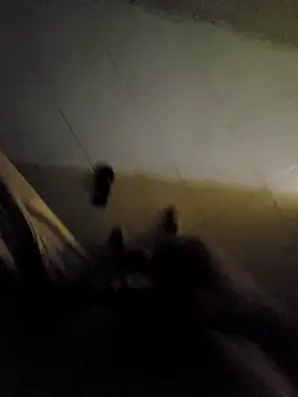 Snapshot of beto_juby777 chatting on November 2025 10:42:02 PM beto juby777 online show from November 2025 10:42:02 PM