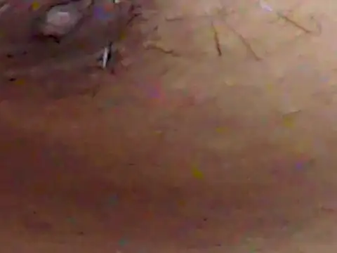 ChiseledCharm online show from September 2025 02:51:01 PM