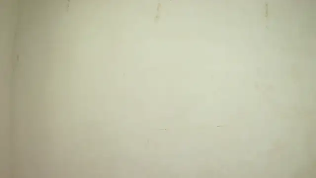 Snapshot of SelenaKayle chatting on October 2025 04:14:02 PM SelenaKayle online show from October 2025 04:14:02 PM