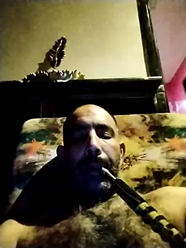 salimbasha online show from October 2025 02:12:02 AM