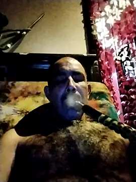 salimbasha online show from October 2025 03:08:01 AM