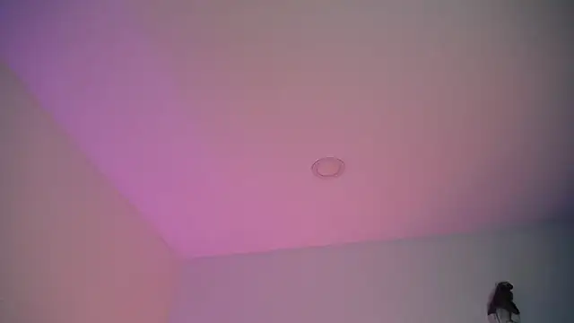 Snapshot of Stepha_babe chatting on September 2025 10:53:01 PM Stepha babe online show from September 2025 10:53:01 PM