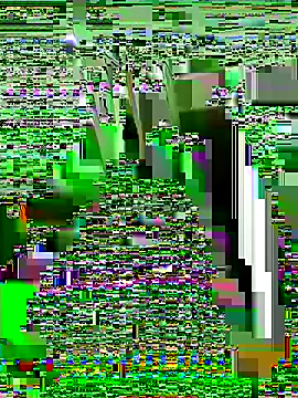 Stephenw3 online show from September 2025 08:22:02 PM