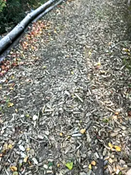 Mlkrrp online show from October 2025 04:28:01 PM