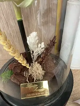 Mrdim26 online show from October 2025 12:58:01 PM