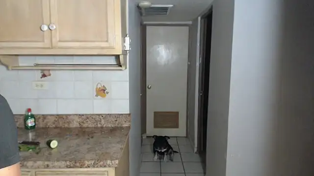 Snapshot of BlondZilla chatting on November 2025 12:49:02 AM BlondZilla online show from November 2025 12:49:02 AM