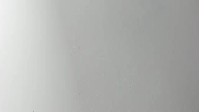 Snapshot of Lady_miss___ chatting on November 2025 12:17:01 PM Lady miss online show from November 2025 12:17:01 PM