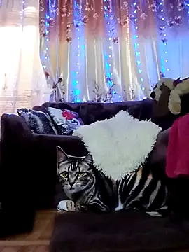 Snapshot of SquirtMilf00 chatting on February 2025 07:10:01 AM SquirtMilf00 online show from February 2025 07:10:01 AM