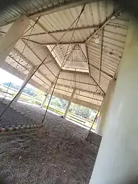 Snapshot of Desi_Horny_Boys chatting on October 2025 08:26:01 AM Desi Horny Boys online show from October 2025 08:26:01 AM