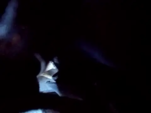 PENTHOUSECEOCLUBHOUSEPRES online show from November 2025 06:41:02 PM