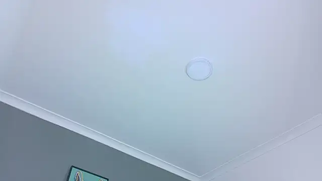 Snapshot of BelaMiller_ chatting on October 2025 11:36:01 AM BelaMiller online show from October 2025 11:36:01 AM