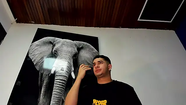 king falconer online show from November 2025 12:35:01 AM