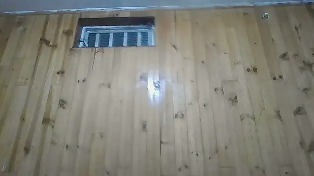 Snapshot of Roselingalvis13 chatting on October 2025 03:19:01 AM Roselingalvis13 online show from October 2025 03:19:01 AM