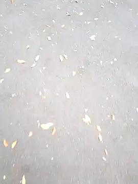 Arya Lexy online show from October 2025 02:45:02 PM