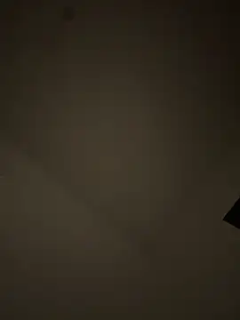 Snapshot of Lapampara0 chatting on October 2025 10:52:01 PM Lapampara0 online show from October 2025 10:52:01 PM