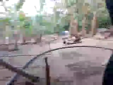 BigBoobs186 online show from November 2025 10:03:01 AM