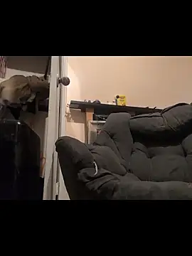 Snapshot of Cnutt310 chatting on December 2025 03:50:01 PM Cnutt310 online show from December 2025 03:50:01 PM