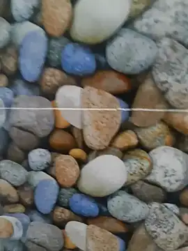 coocon2020 online show from October 2025 01:31:01 AM