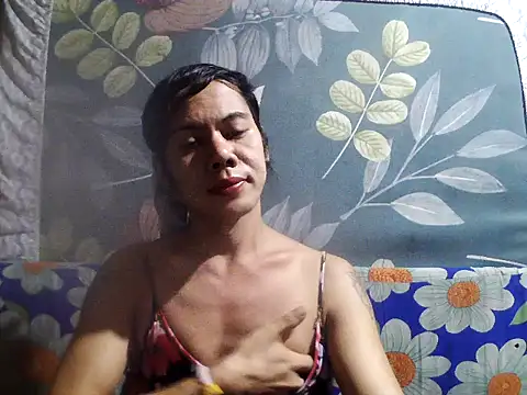 starforallseasoncreamfox online show from September 2025 09:43:02 AM