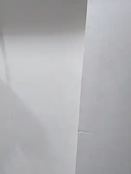 Snapshot of sneha_bebo chatting on November 2025 03:47:02 PM sneha bebo online show from November 2025 03:47:02 PM