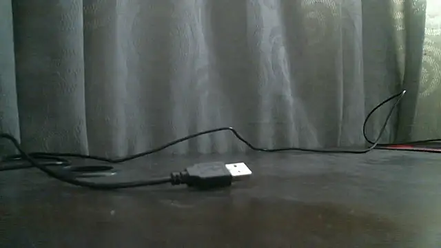  ari gato  online show from November 2025 03:11:01 PM