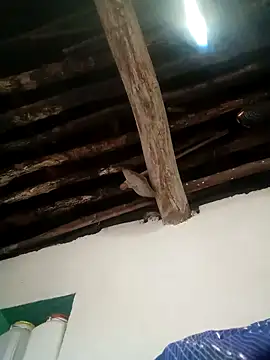 Hot siiii online show from November 2025 01:18:02 AM