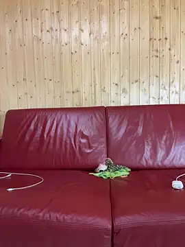 Snapshot of FoxStudioSex chatting on October 2025 04:51:01 PM FoxStudioSex online show from October 2025 04:51:01 PM