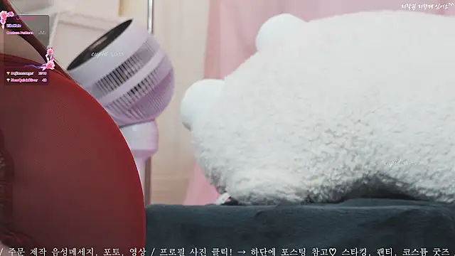 Cupid 33333 online show from September 2025 07:24:02 AM