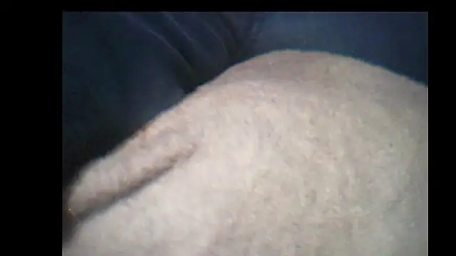 Snapshot of pietje1991 chatting on December 2025 10:25:01 PM pietje1991 online show from December 2025 10:25:01 PM