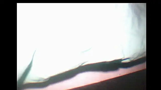 Snapshot of pietje1991 chatting on December 2025 10:14:01 PM pietje1991 online show from December 2025 10:14:01 PM