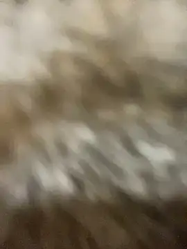 Snapshot of Sayhi_xo chatting on September 2025 09:25:02 AM Sayhi xo online show from September 2025 09:25:02 AM