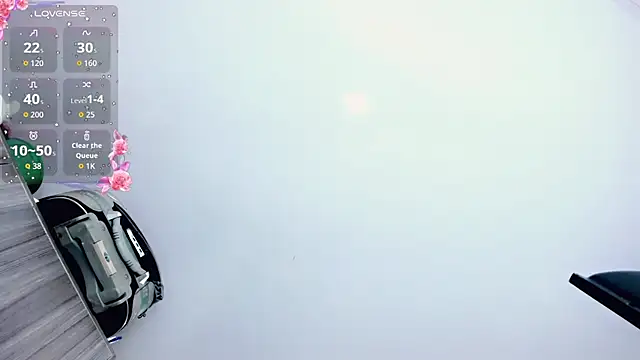 Rossedewitt  online show from October 2025 07:03:02 PM