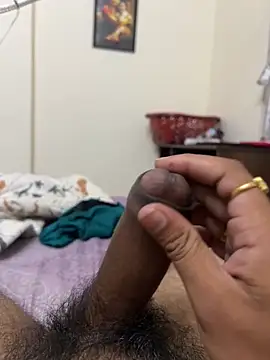 vidhu-lover online show from October 2025 02:31:01 PM