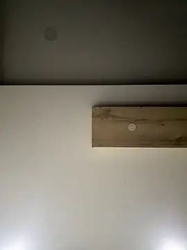 Snapshot of ALANNFERRER chatting on September 2025 09:31:01 AM ALANNFERRER online show from September 2025 09:31:01 AM