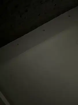 Snapshot of ALANNFERRER chatting on October 2025 09:40:01 AM ALANNFERRER online show from October 2025 09:40:01 AM