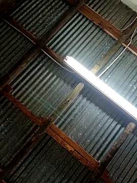 Snapshot of Fizozoo chatting on September 2025 04:58:02 AM Fizozoo online show from September 2025 04:58:02 AM