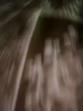 Snapshot of Love-pari08 chatting on November 2025 10:46:02 AM Love-pari08 online show from November 2025 10:46:02 AM