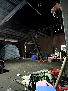 Exembin online show from November 2025 09:42:02 AM